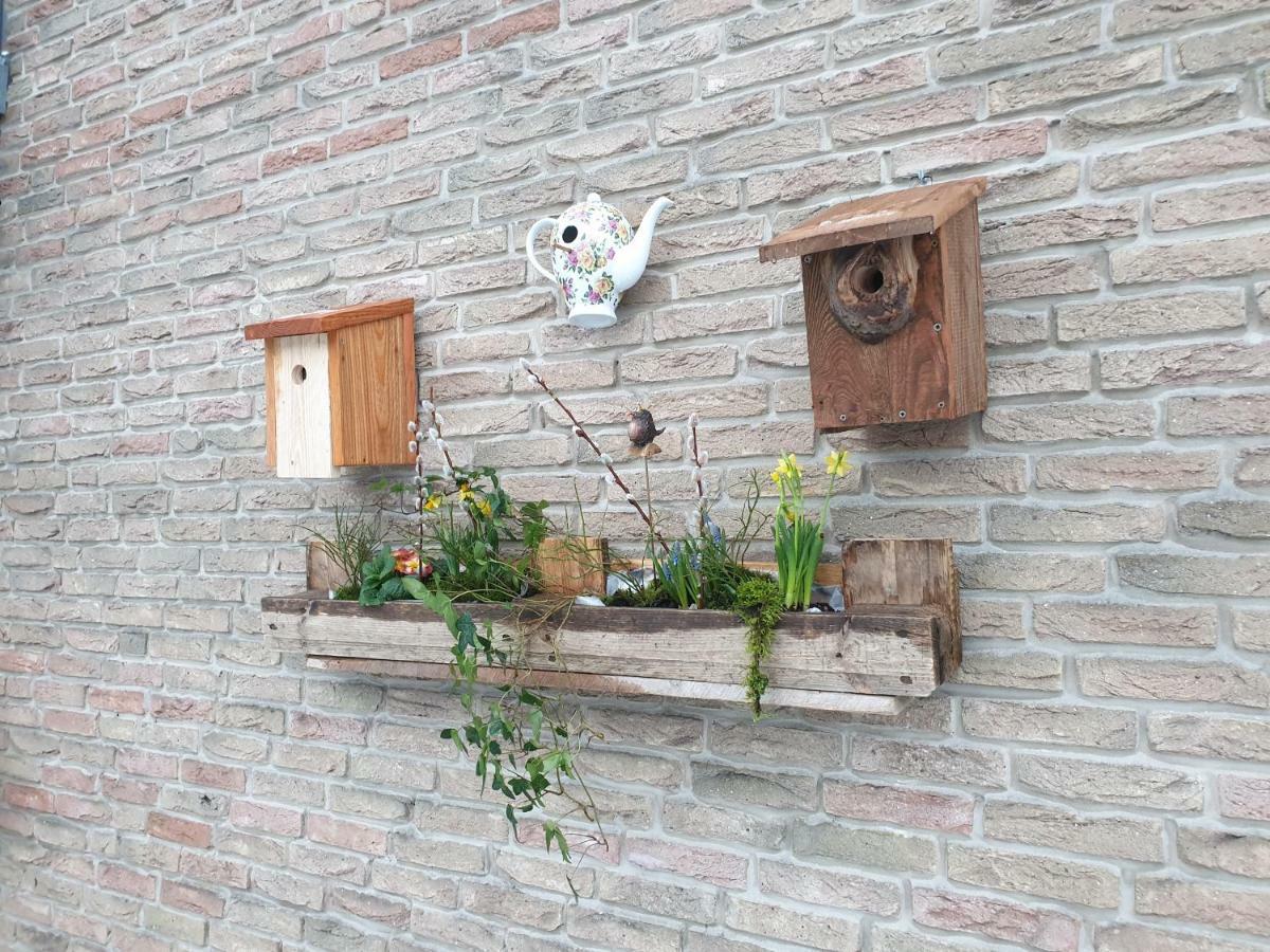 Ferienwohnung Vogelvilla Altenbeken Extérieur photo